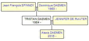 Mini tree diagram