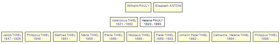 Mini tree diagram