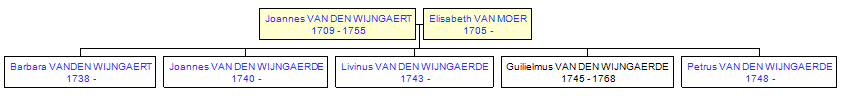 Mini tree diagram