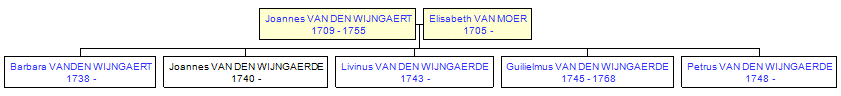 Mini tree diagram